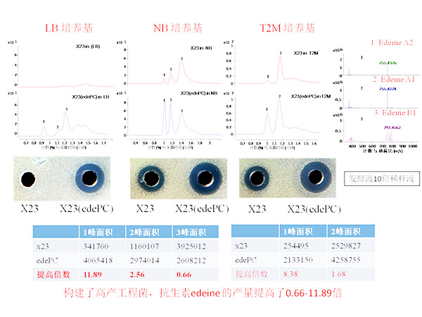 湖南省微生物研究院,湖南农业生物产业咨询,种植业技术支持,农业微生物技术普及