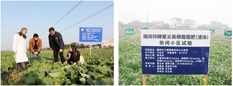 湖南省微生物研究院,湖南农业生物产业咨询,种植业技术支持,农业微生物技术普及
